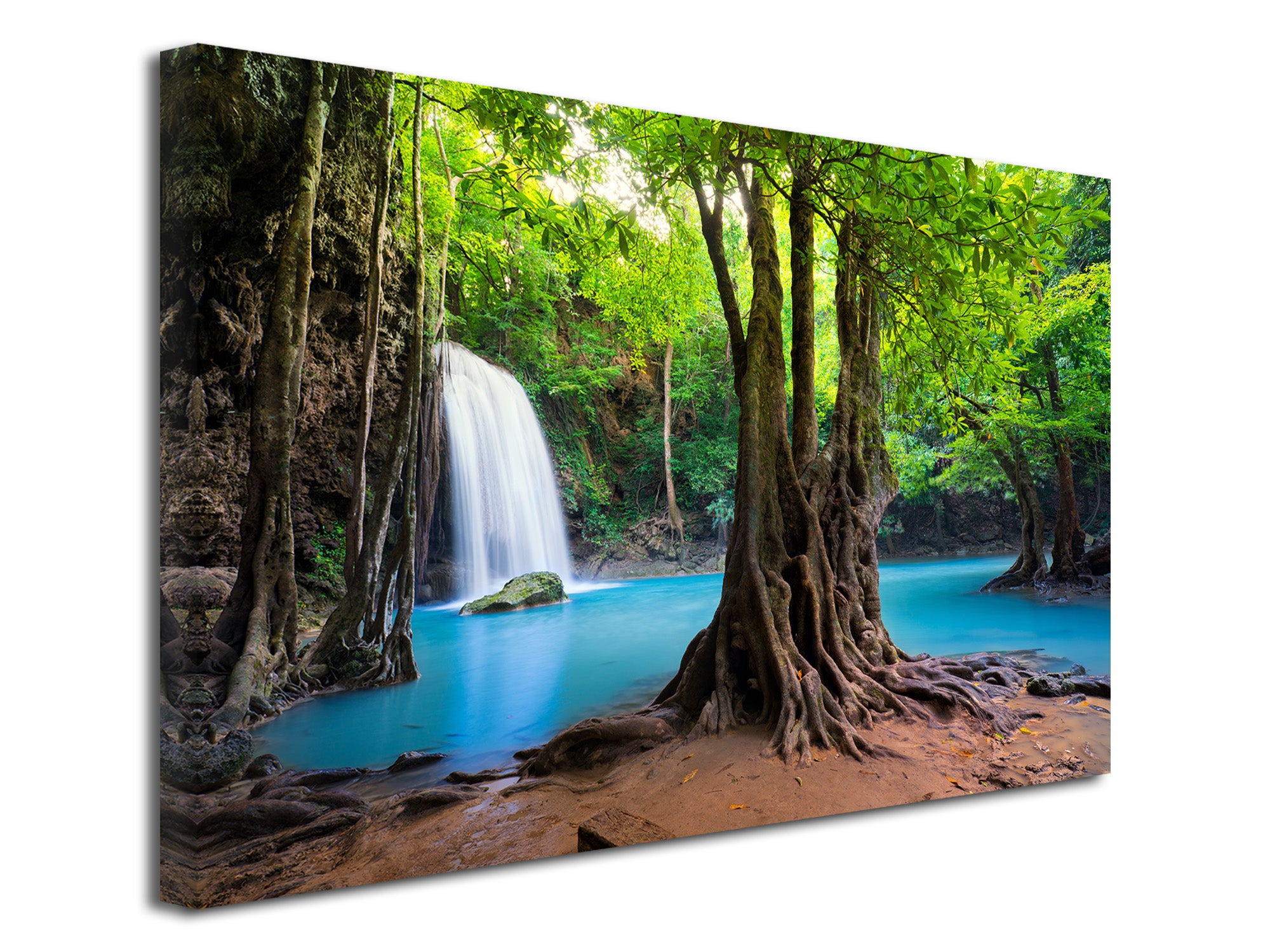 Affiche de jardin - Vue - Cascade - Paysage - Arbres - Forêt tropicale