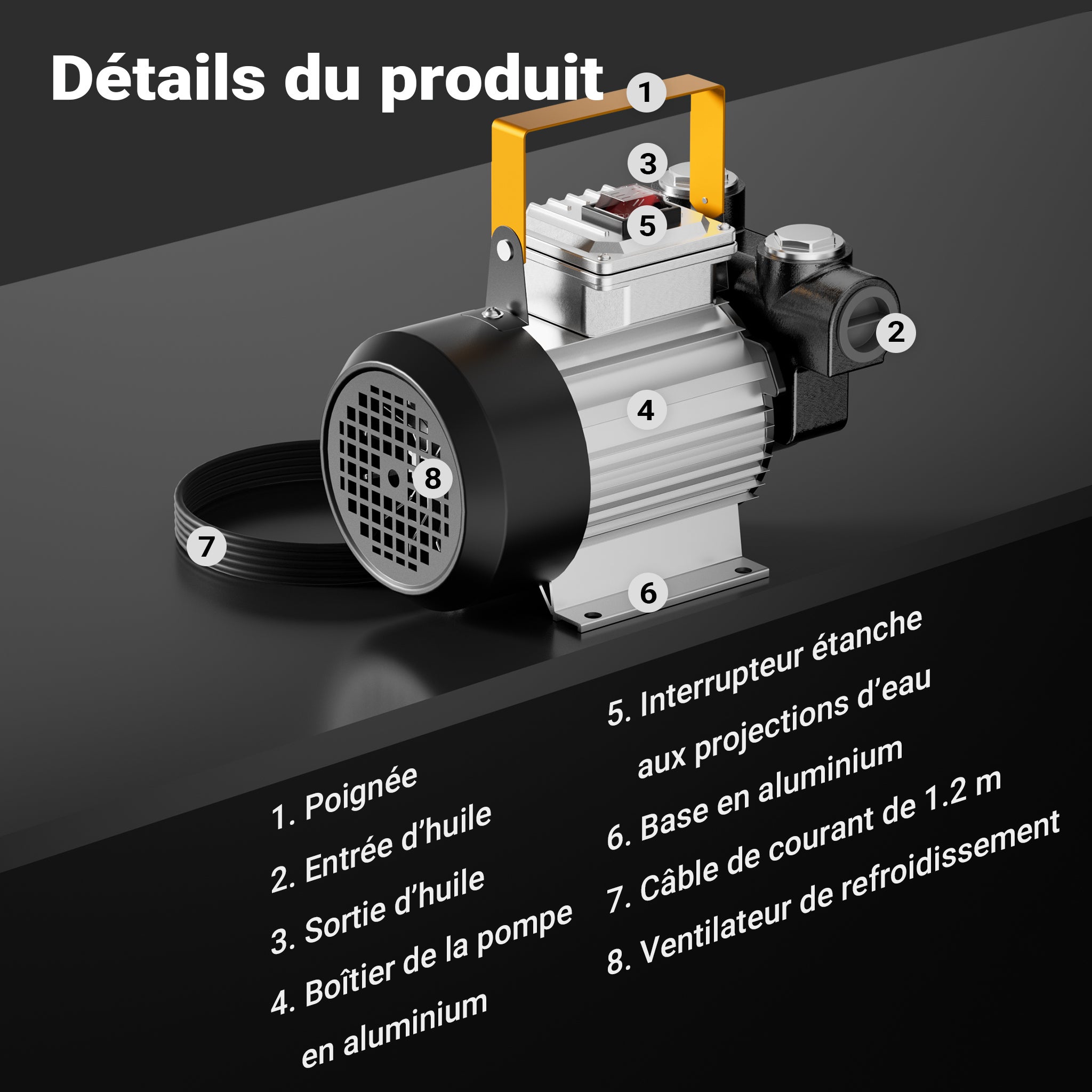 Pompe à Fuel Gasoil bio Autoaspirante – 230 V / 550 W / 20-60 l/min – Hauteur d'aspiration max. 20 m – avec Soupape by-pass, Enroulement… Wiltec - 5