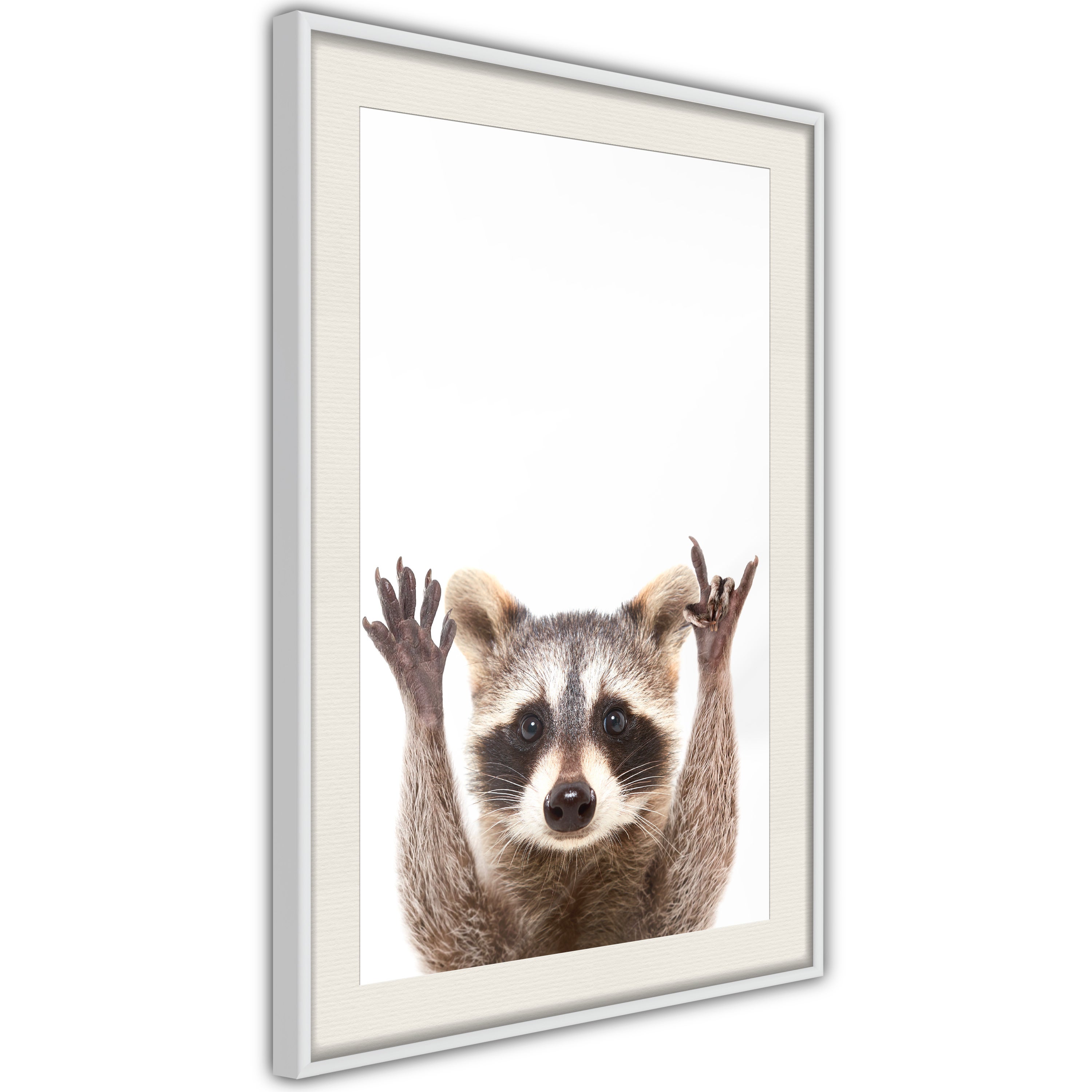 Poster et affiche - Funny Racoon 30x45 cm | Leroy Merlin
