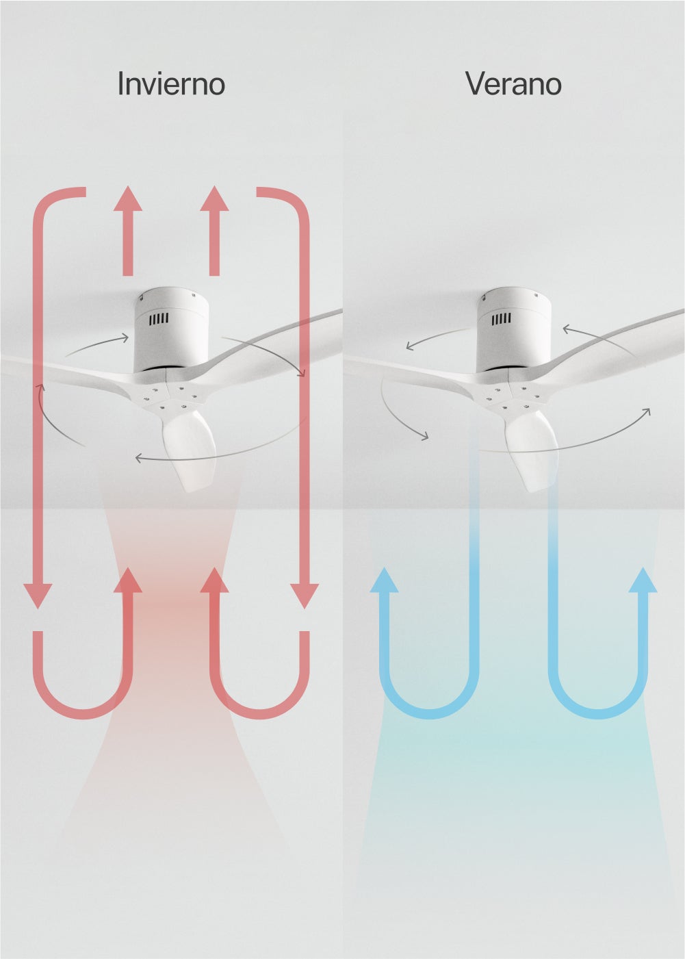 CREATE - WIND CALM M - Ventilateur de plafond silencieux 40W avec pales techniques en ABS Ø132cm sans eclaraige sans wifi - 6