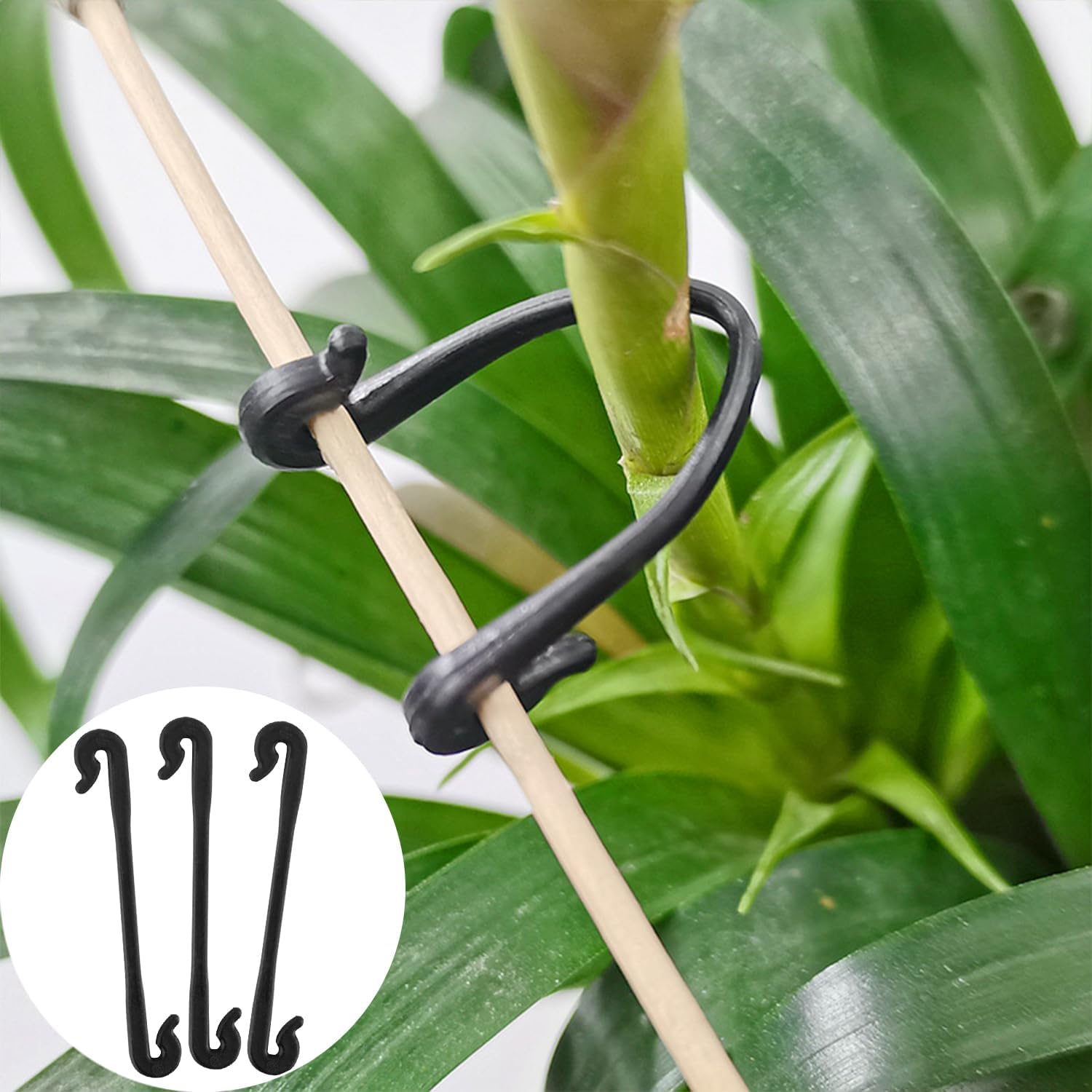 150, Verde) Clip di supporto per piante, Clip per pomodori da giardino, Clip di supporto per piante da giardino, Clip per verdure, Viti di pomodoro, | Leroy Merlin