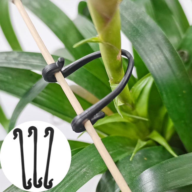 150, Verde) Clip di supporto per piante, Clip per pomodori da giardino, Clip di supporto per piante da giardino, Clip per verdure, Viti di pomodoro, | Leroy Merlin 150, Verde) Clip di supporto per piante, Clip per pomodori da giardino, Clip di supporto per piante da giardino, Clip per verdure, Viti di pomodoro, | Leroy Merlin