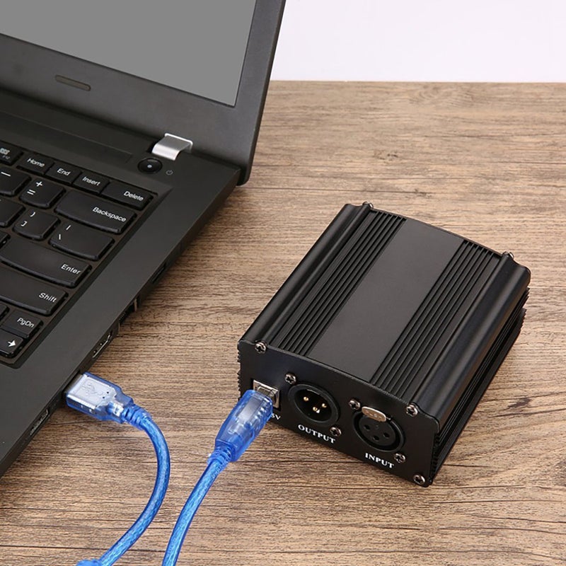 2pcs Alimentation fantôme USB 48V microphone à large diaphragme ...