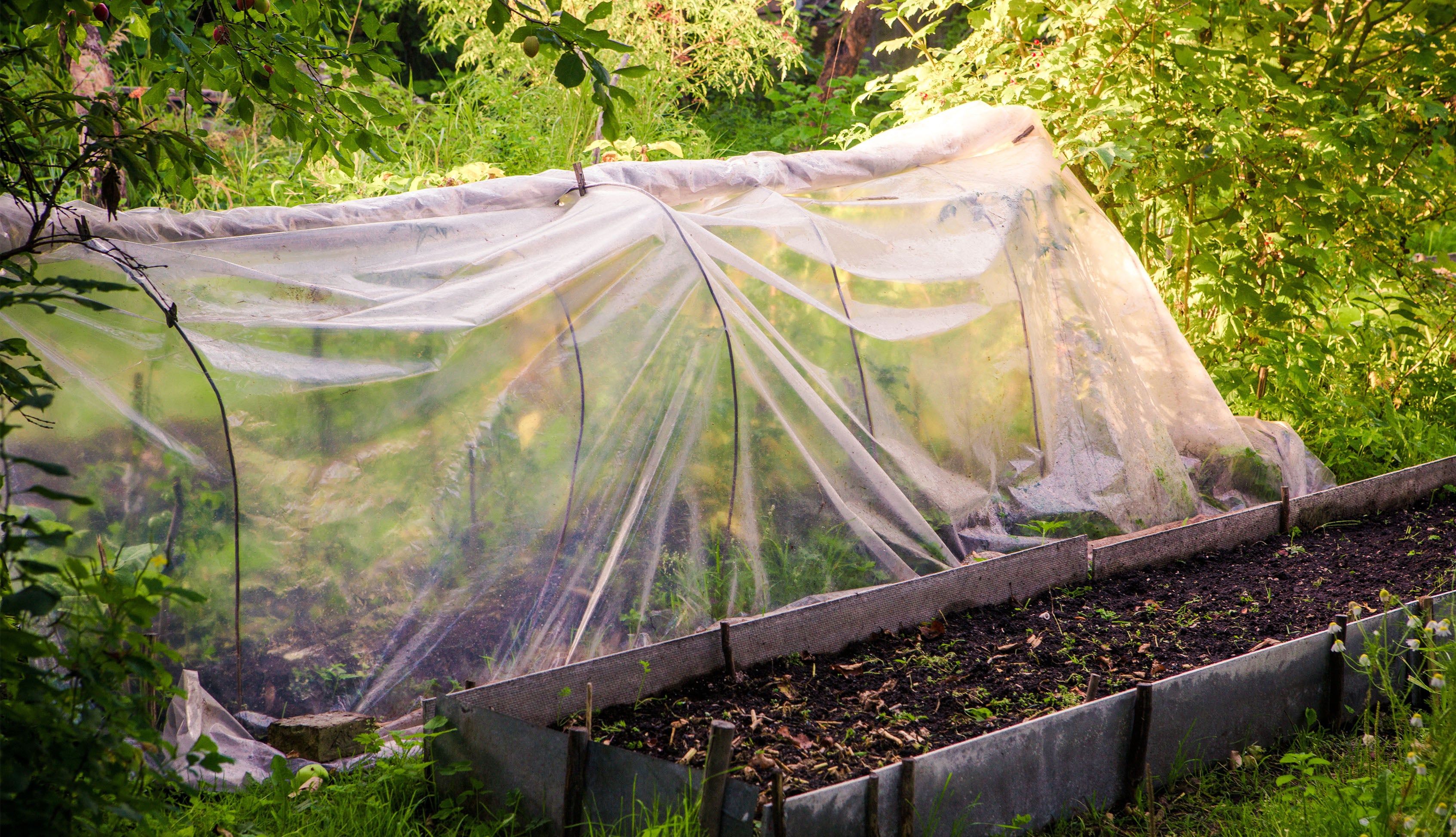 Película de jardín de 3m, película de invernadero, película de marco frío UV 5, película de invernadero de 4m de ancho - 6