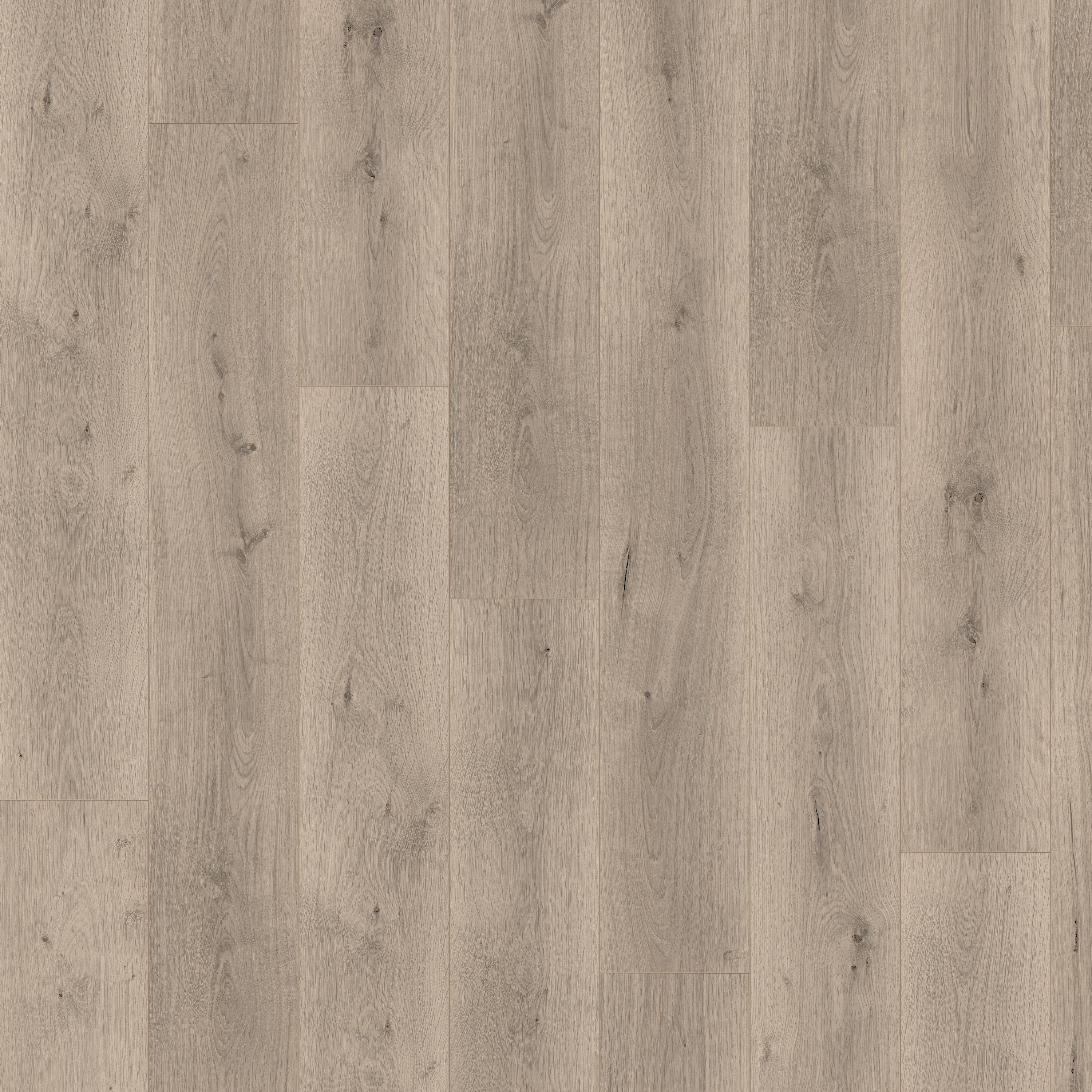 EGGER Sol stratifié NatureSense Aqua EL2112 Chêne Pinot gris clair 1292 x 193 x 8mm - 4