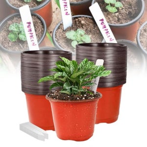MoonyLI Etichette Per Piante Da Giardino, 100 Pezzi, Plastica Impermeabile Bianca 10x2 Cm
