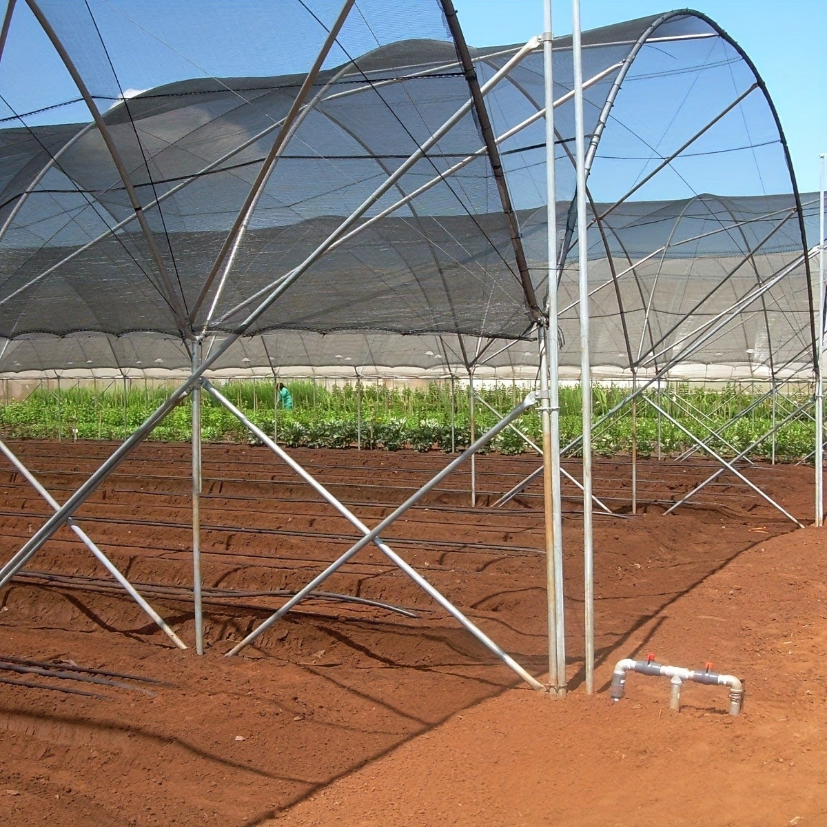 Toile d'ombrage 40 % pour plantes, 4 x 6 m, protection solaire et thermique pour serres, jardins, terrasses et plantes - 3