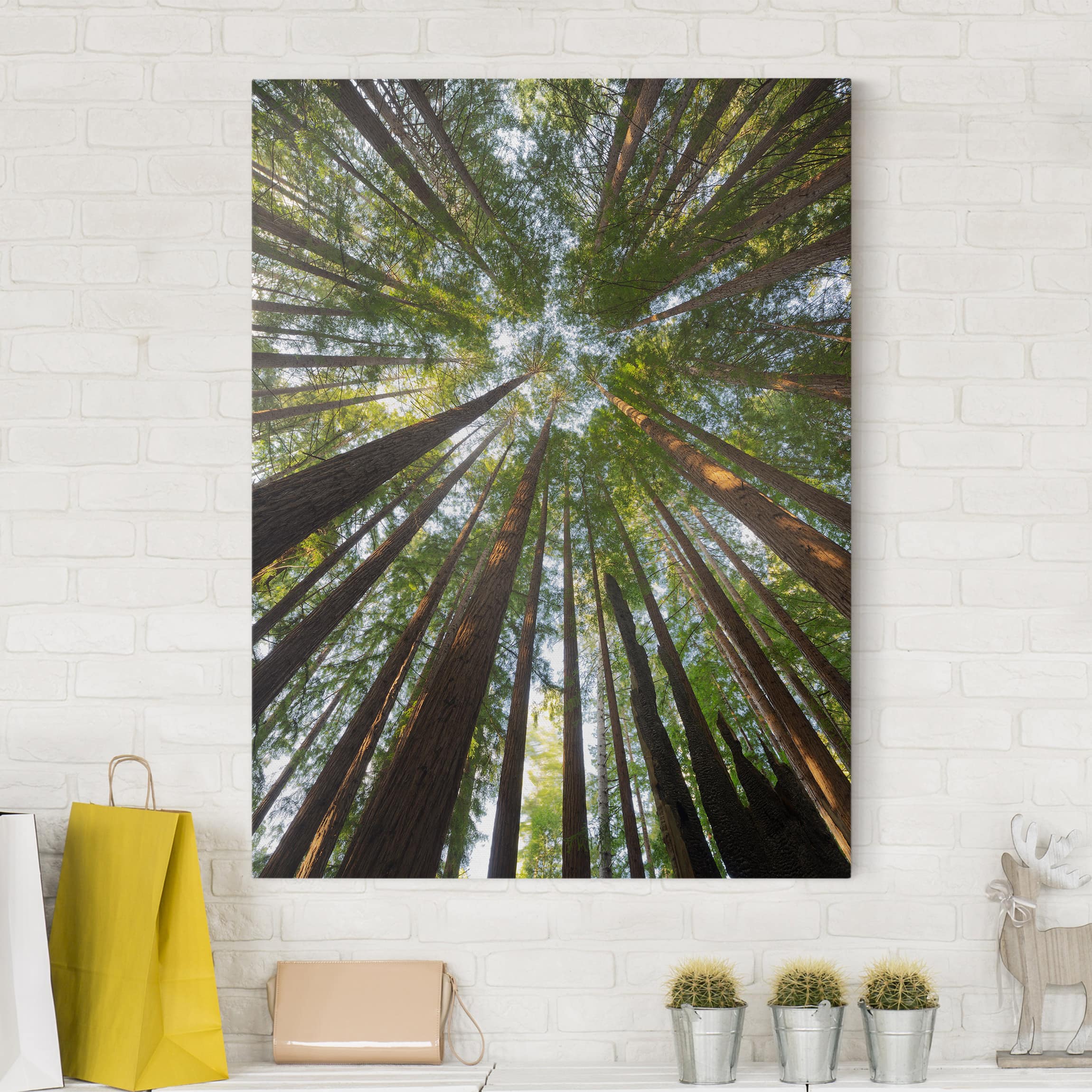 Tableau Déco Moderne Champ De Coton 140x50cm - Impression Sur Toile, Motif Botanique Nature