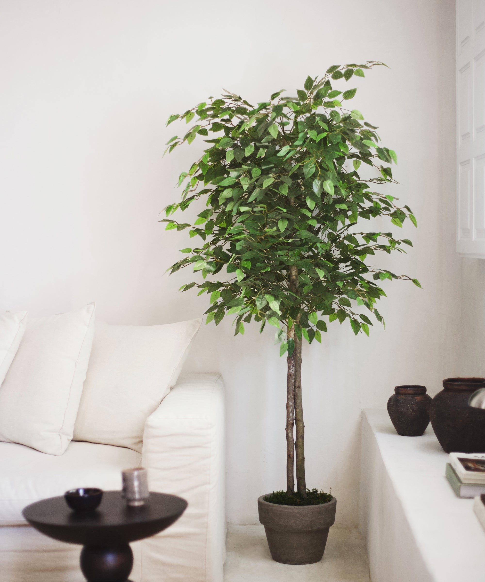 Albero artificiale di Ficus con vaso nero 210 cm | Kave Home