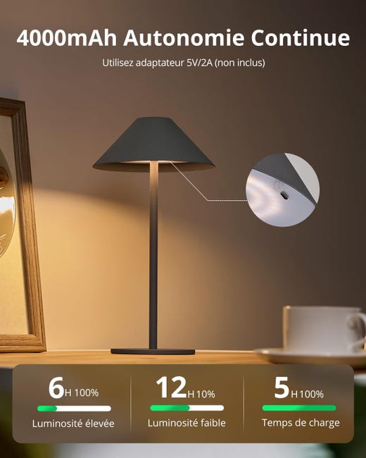 3ème Feu Stop Cargo Pour Ford F150 2004-2008 - Style Usine, Remplacement Direct, Approuvé DOT/SAE