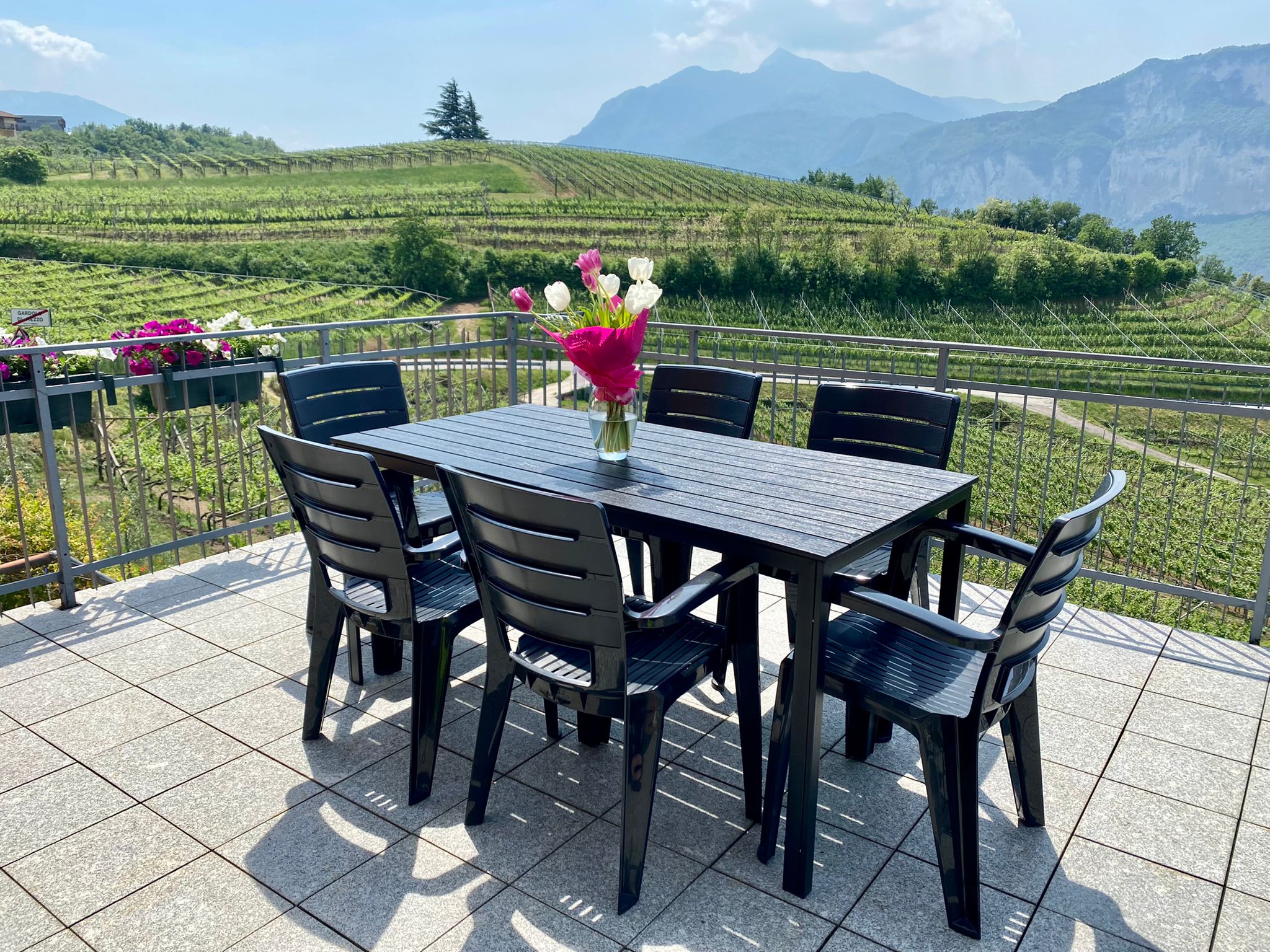 Set da giardino Tavolo Thomas in acciaio e polietilene + 6 sedie Anita in polipropilene antracite - 5