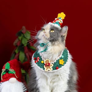 Costume de Noël pour chien, tenue de fête faite main pour chat
