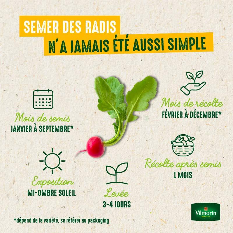 Vilmorin - Radis de 18 jours - 3