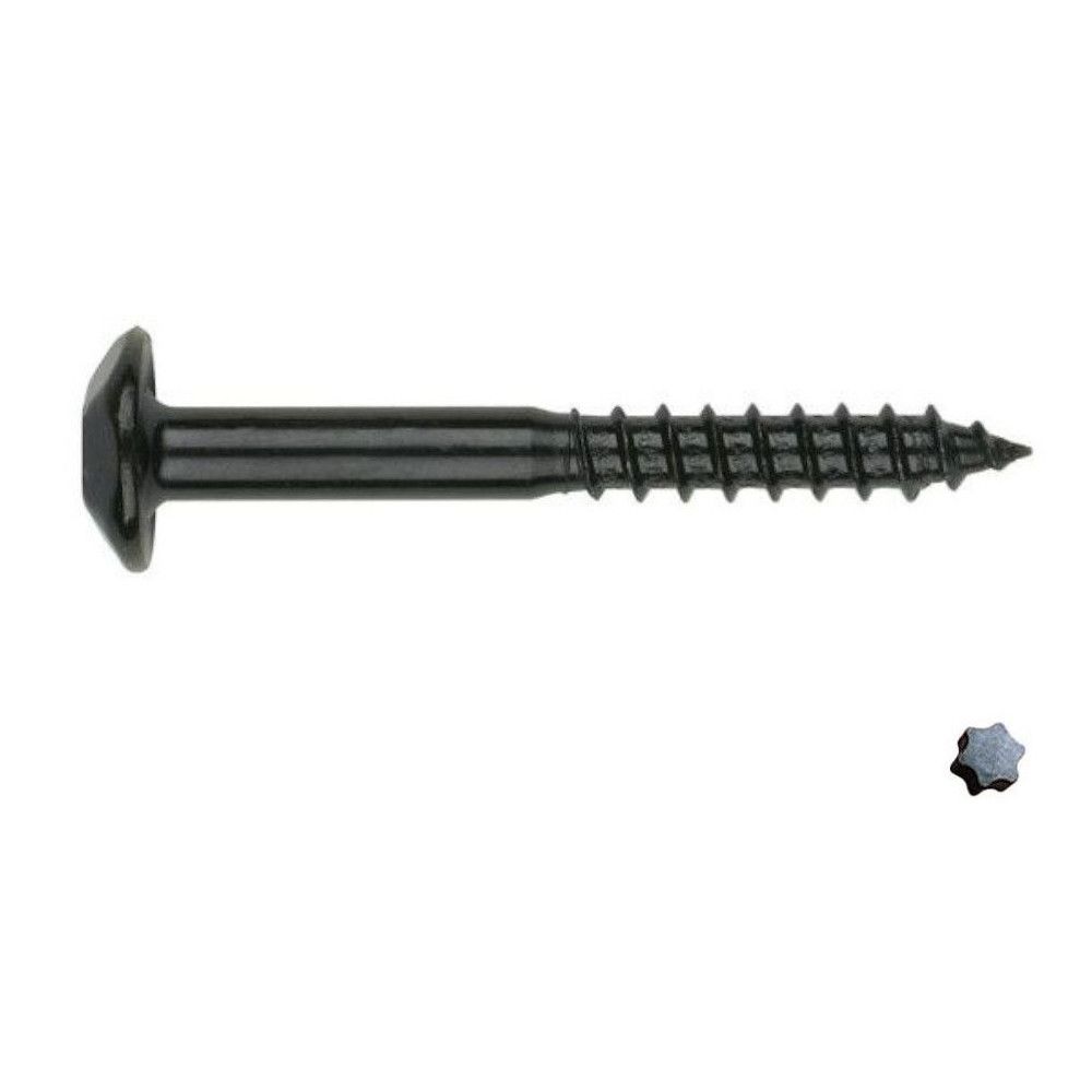 Vis penture torx - FIX PRO - 6 x 40 mm - Acier zingué noir - Lot de 10 - Tête bombée - Bricolage