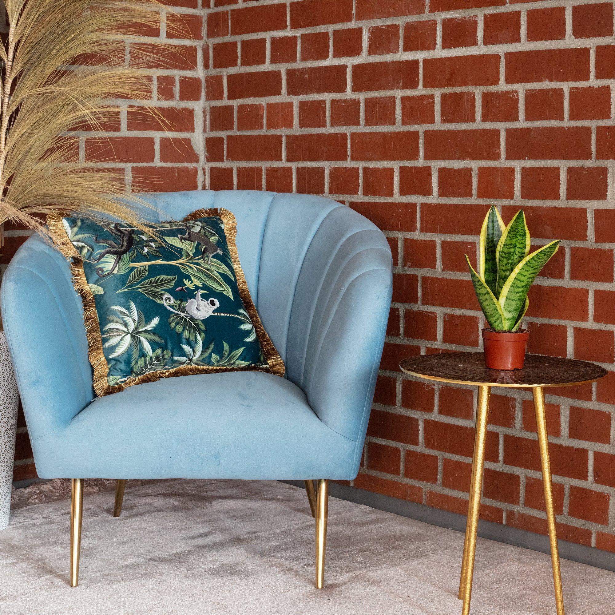 Lingua di suocera - pianta da interno facile da curare, Sansevieria trifasciata Superba - altezza ca. 30 cm, diametro del vaso 9 cm - 3