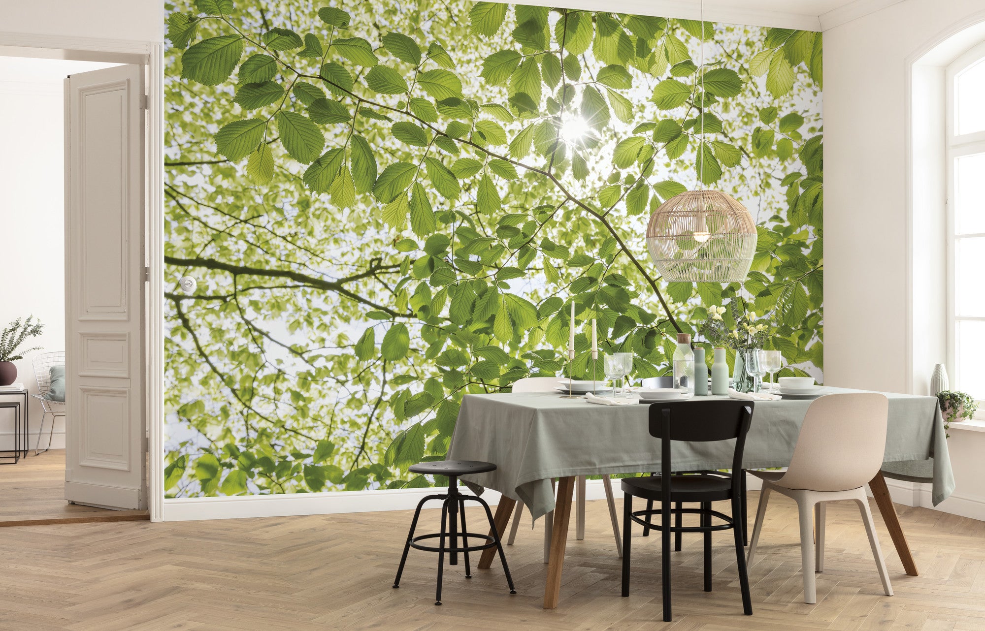 Fototapeta las zielonym - 450 x 280 cm - SANDERS &amp; SANDERS