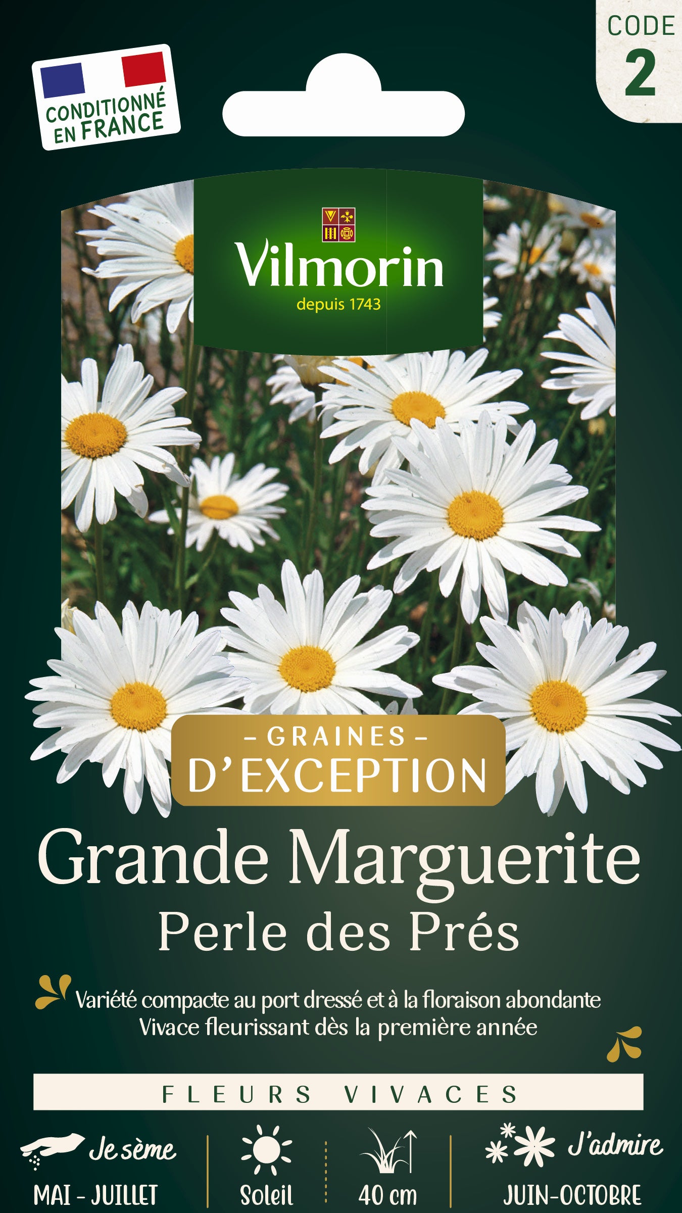 Pelouse Suisse - Paquerettes (x2) + Grande Marguerite Perle des Prés - Graines d'Exception Offerte - 3