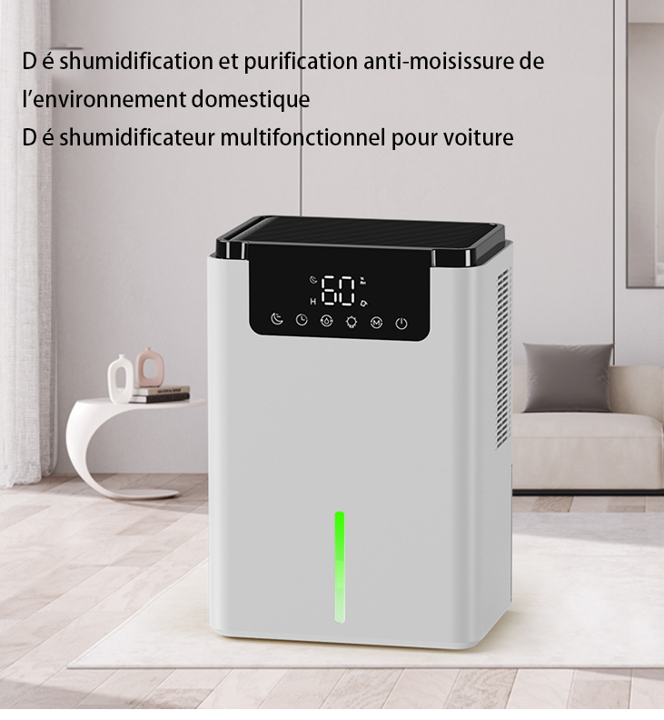 Déshumidificateur à double cœur pour la maison, sous-sol, chambre, déshumidificateur blanc, taille de la pièce : 20 m² - 2