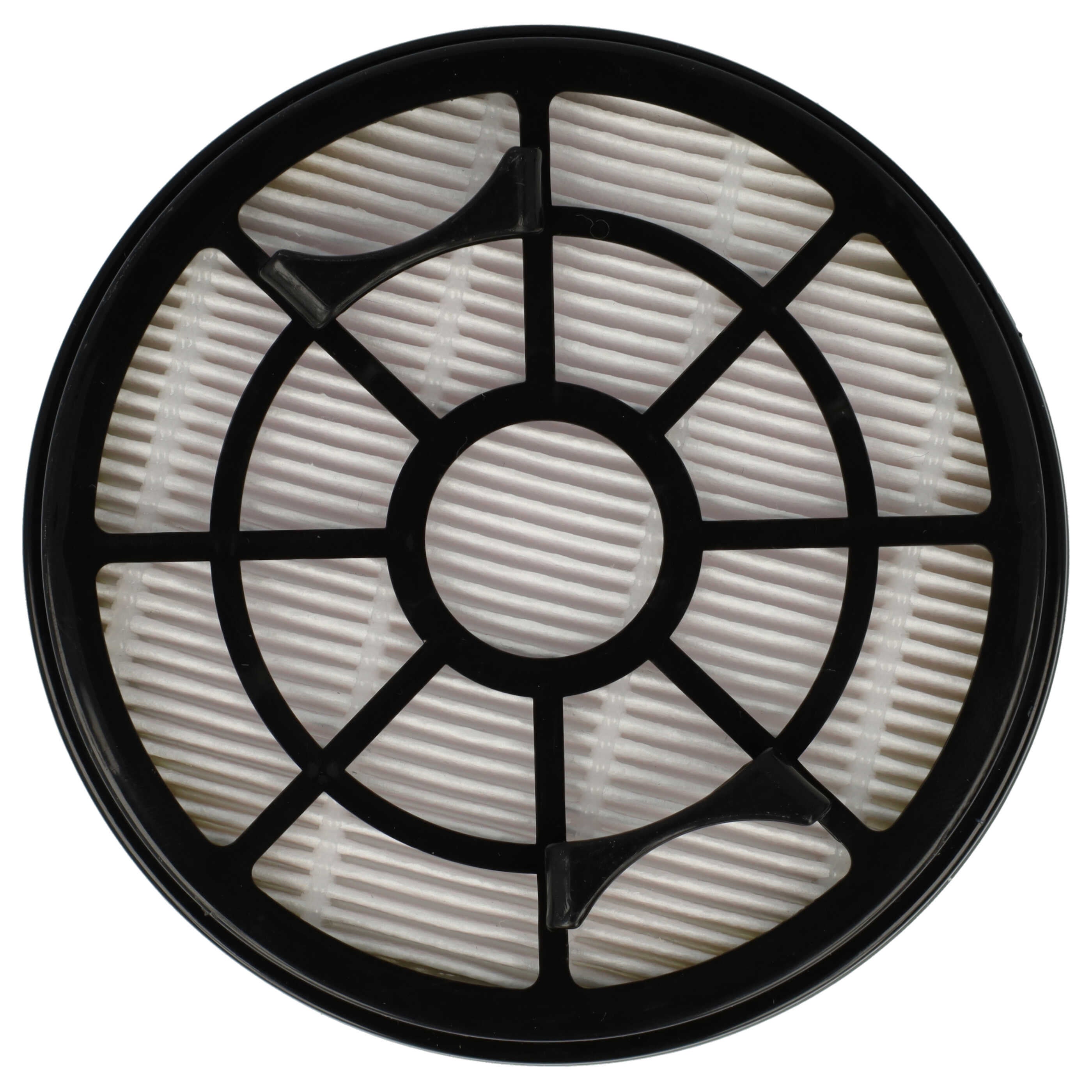 Vhbw Filtro HEPA 13 Sostitutivo Per Rowenta RS-RT4109, ZR902501 - Anallergico Per Aspirapolvere