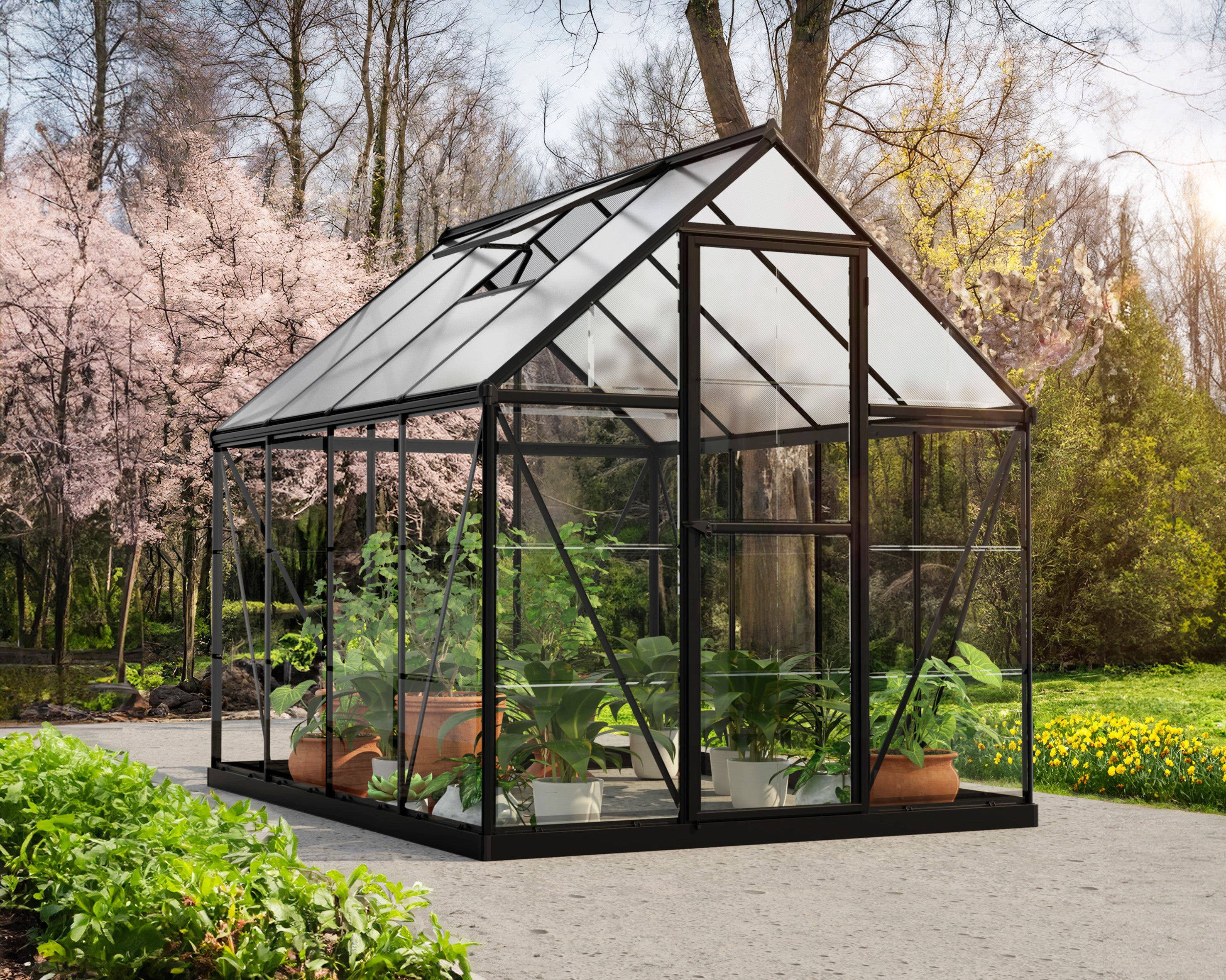 Canopia Serre de jardin Hybrid 4.6m² Noir - 3