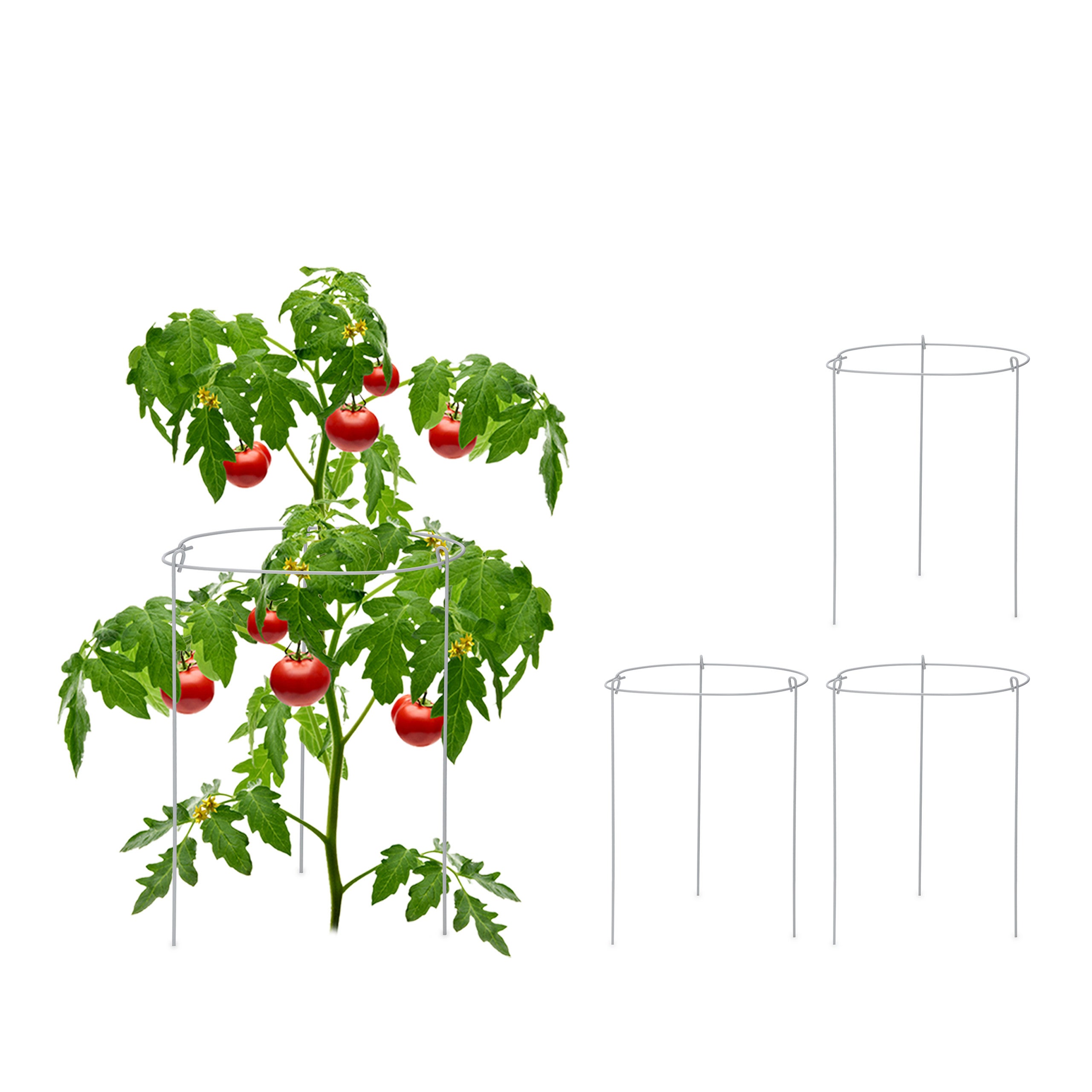 Lot 6 Tuteurs Tomates Relaxdays 76 Cm - 3 Anneaux Réglables Métal Plastique