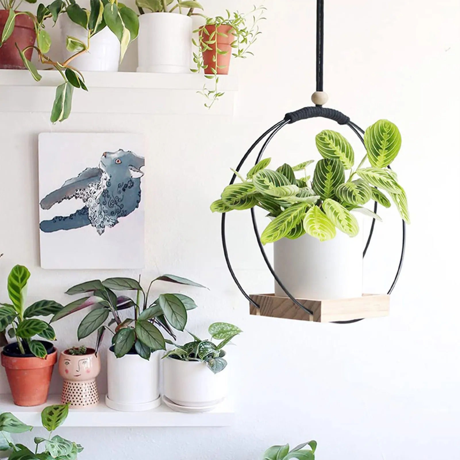 Soporte Colgante para Macetas Estantería para Plantas Colgante de