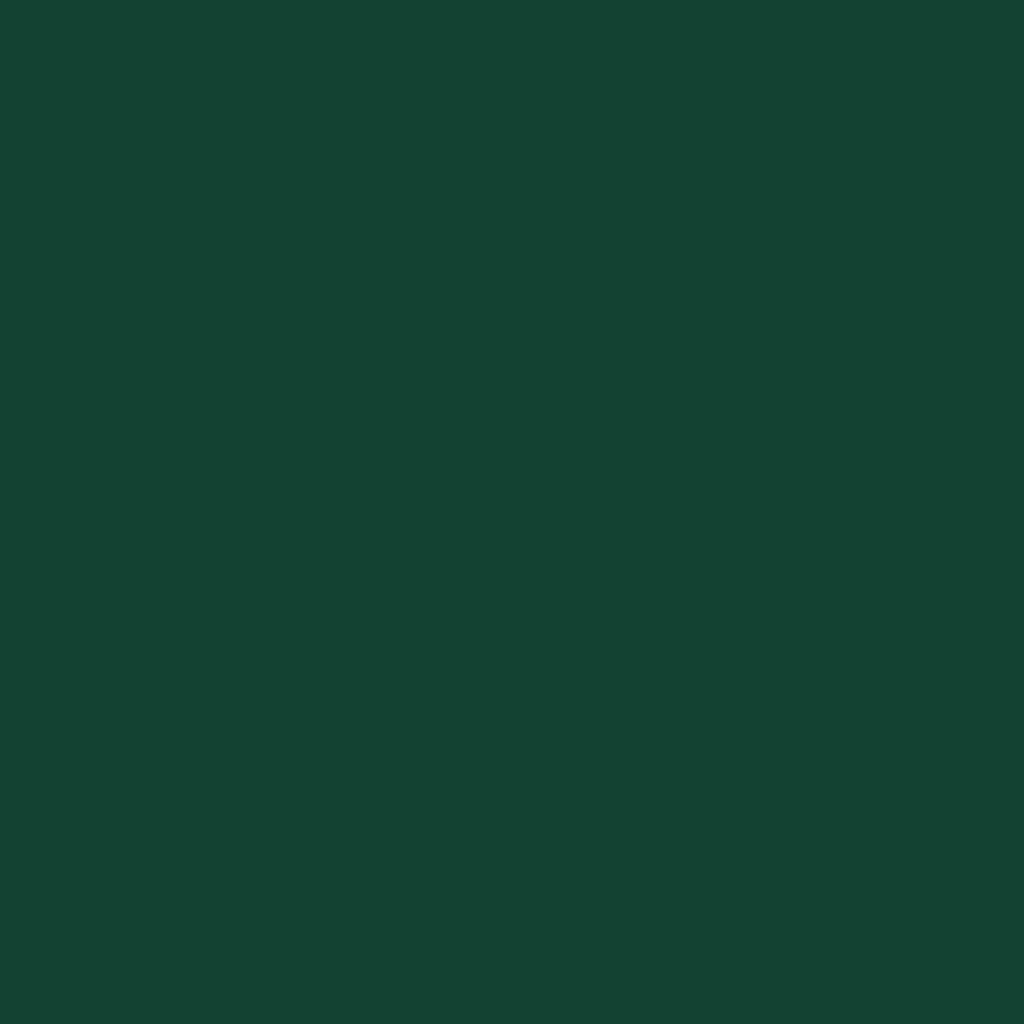Maison Exclusive - Abri de jardin vert 277x93x179 cm acier galvanisé - 8