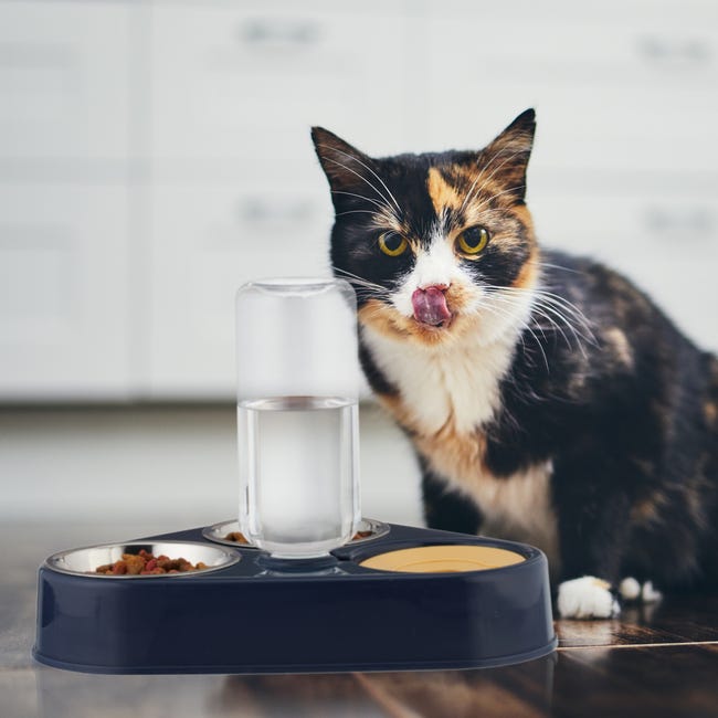 Distributore Automatico Cibo Dispenser Crocchette Gatto Distributore Automatico D'acqua Per Animali Domestici, Secchio Per Abbeveratoio Per Galline Distributore 2 In 1 3.8 Litri