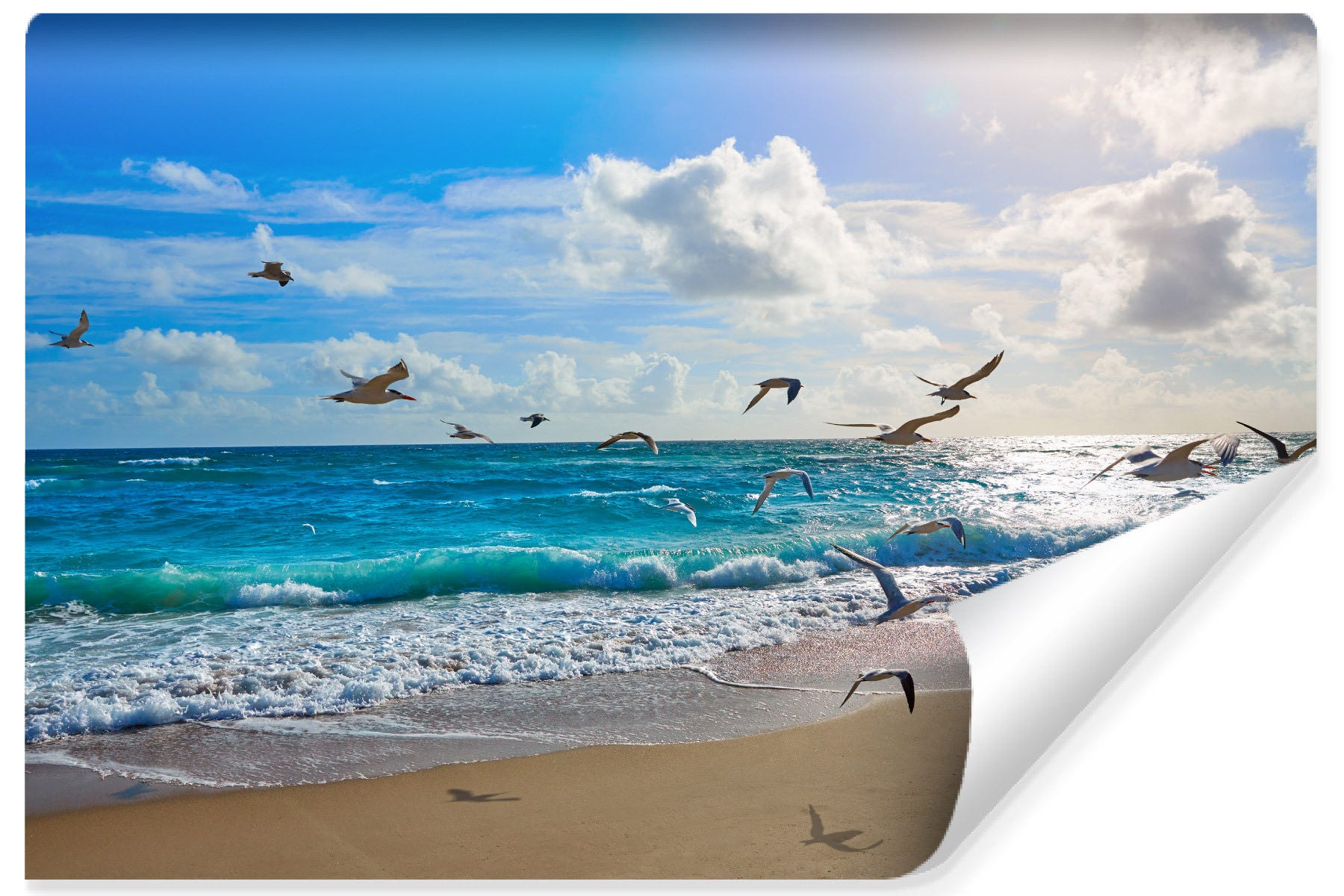 Papier peint panoramique dunes bord de mer aquarelle – Lumière des Dunes | – : Papier peint panoramique Papier peint panoramique dunes bord de mer aquarelle – Lumière des Dunes | – : Papier peint panoramique