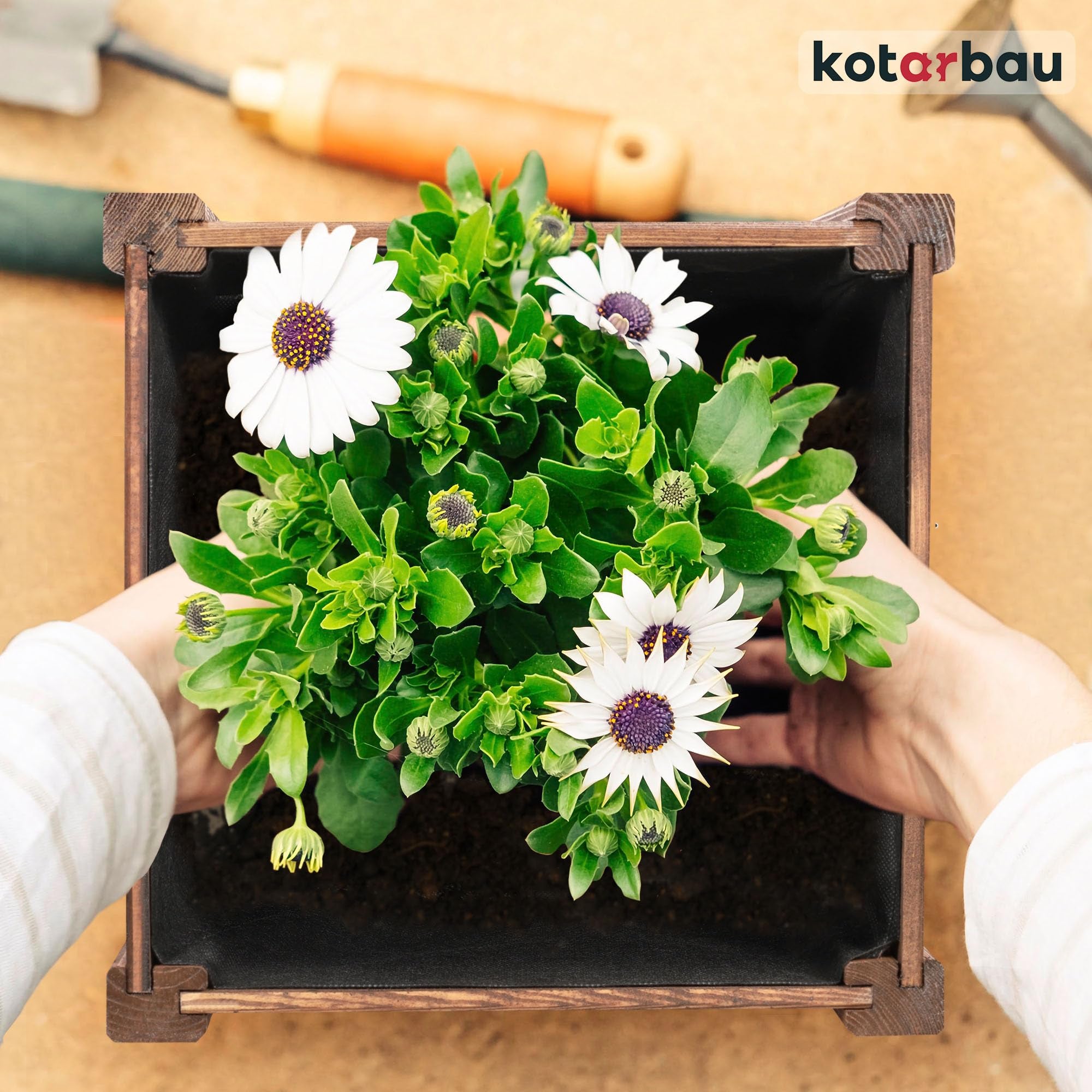 Pot de Fleurs en Bois 38 x 38 x 30 cm Jardinière en Pin Carbonisé Pot de Plantes Jardinière - Idéal pour Jardin Terrasse Balcon - Marron - KOTARBAU - 8