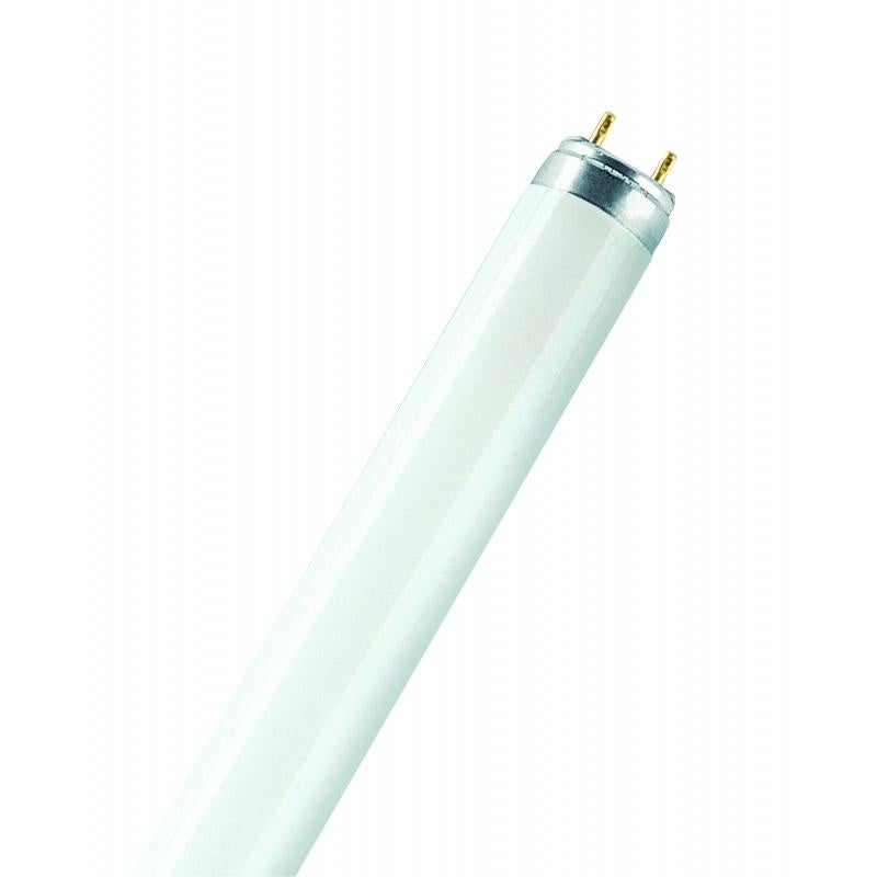 Osram LUMILUX T8 ampoule fluorescente 58 W G13 Blanc froid - 5