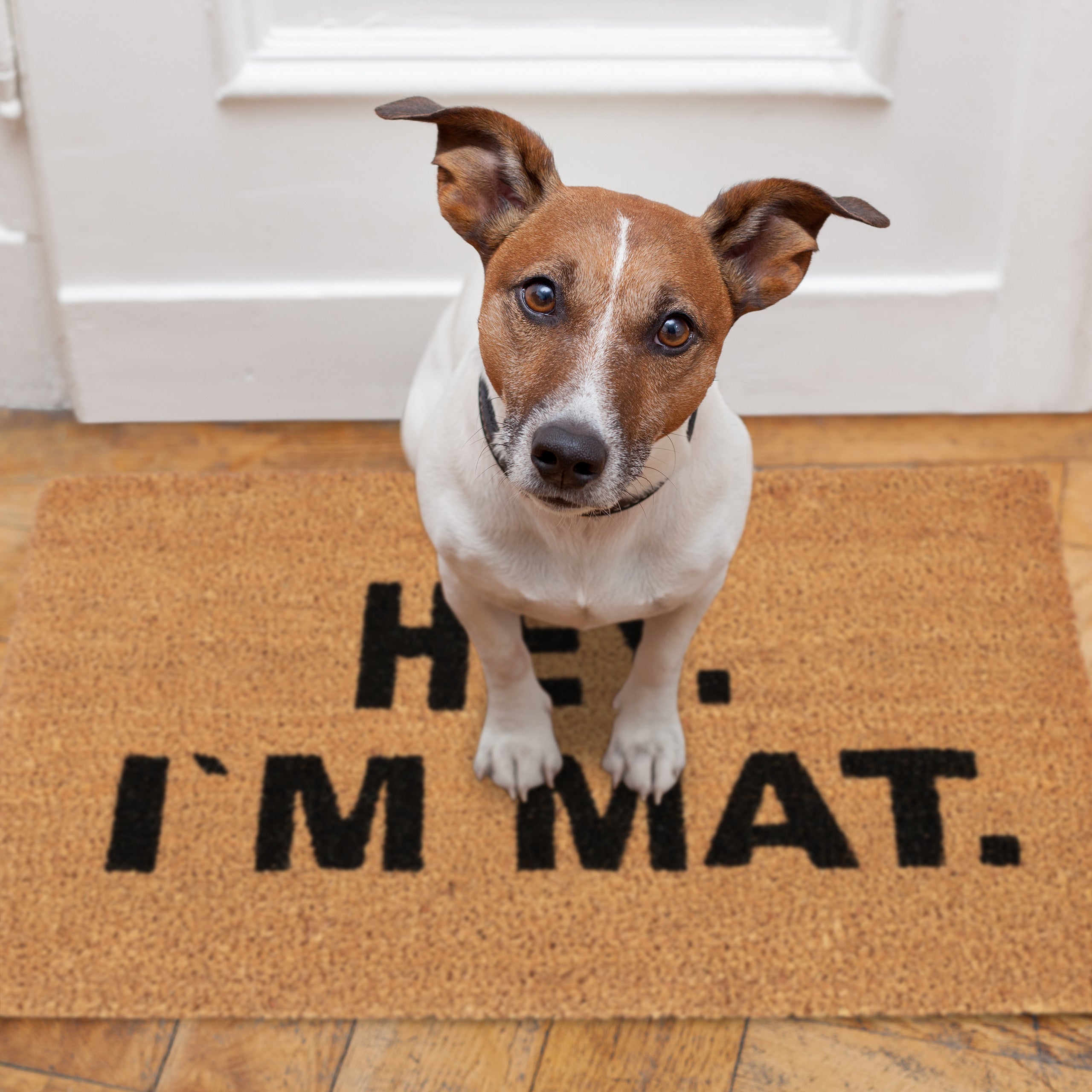 Paillasson fibre de coco I'm MAT 40x60 cm tapis d’entrée extérieur antidérapant PVC, nature/noir, Relaxdays - 5