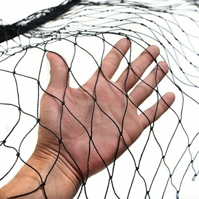 Siatka przeciw ptakom, szerokość 10 x 5 m, siatka przeciw ptakom, mocna siatka ochronna do oczek wodnych, owoców i warzyw