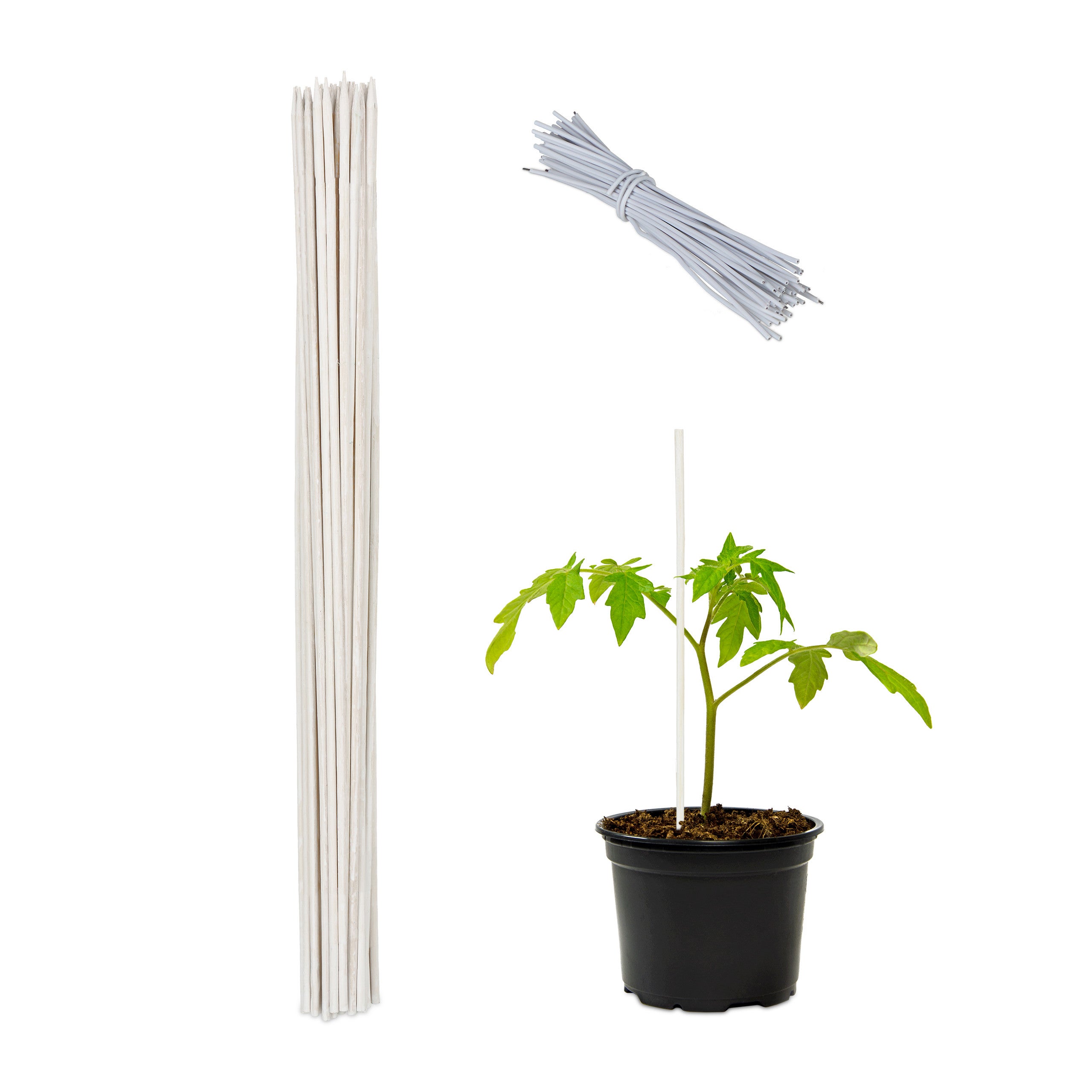 Relaxdays Tuteur à tomates en Bambou avec Fil de Fer, en Lot de 50, pour Les Fleurs et Les légumes, 60 x 0,6 cm, Vert