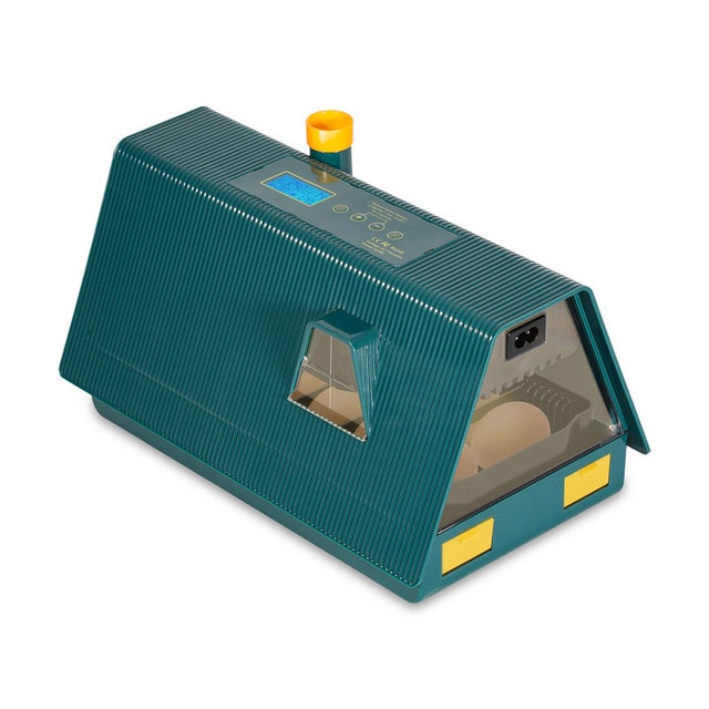 Incubatrice Per Uova Automatica 12 Uova - Con Girauova, Termostato, Display LED, Per Tartarughe E Rettili - Foto 4