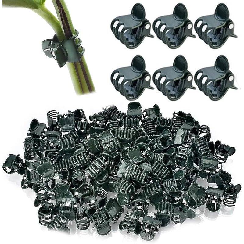 Opakowanie 100 sztuk opasek do storczyków i roślin pnących – regulowane klipsy 1,5 cm wykonane z wytrzymałego plastiku, wielokrotnego użytku do łodyg