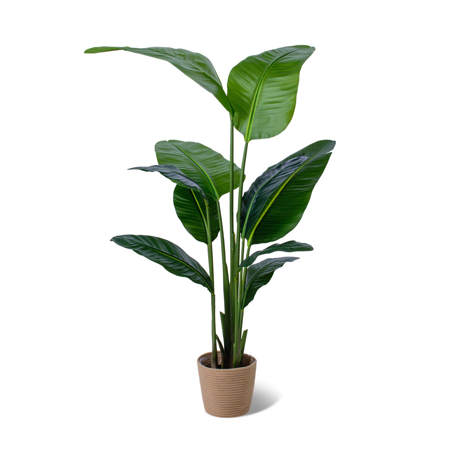 Frankystar  Traveller Banana, Planta Artificial En Maceta H160 Cm Verdes , Leroy Merlin