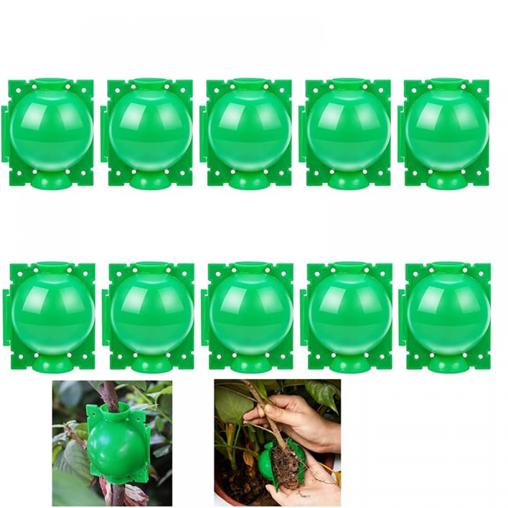 10 kul ukorzeniających do roślin - Skrzynka do szczepienia ogrodowego - Skrzynka do ukorzeniania sadzonek - Kule do sadzonek - 5 cm, zielone