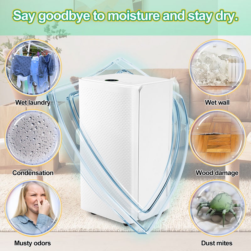 Deshumidificador de aire 16L/Día , Deshumidificador silencioso portátil antimoho 38dB 20m²-25m - 4