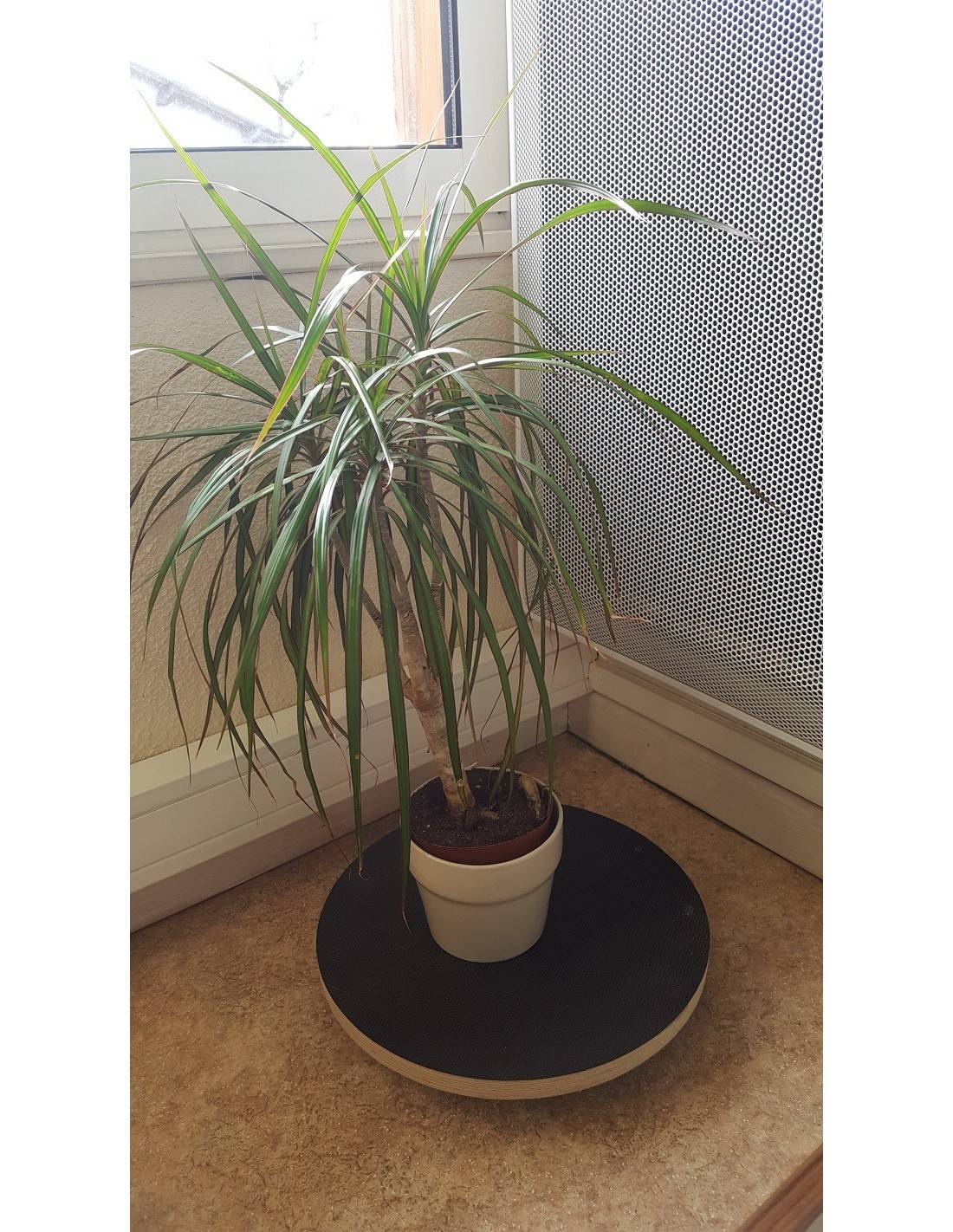 Creative Home Support Plante Roulant Bois - Ø35cm, 80kg Charge, 4 Roulettes