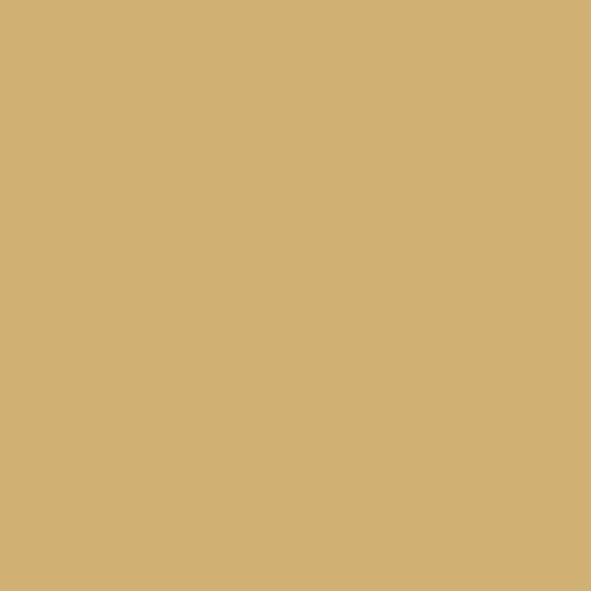 PEINTURE PISCINE BÉTON - 12 Couleurs - HAUTE RESISTANCE 7 ans - ARCAPISCINE Jaune Sable - RAL 1002 - 2.5 L - ARCANE INDUSTRIES - 8