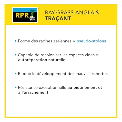 BARENBRUG - Gazon Terrain Sec sans arrosage - Résiste à la Chaleur et à la Sécheresse - Forte Réduction de l'Arrosage - Autoréparation Naturelle - 5KG - 6