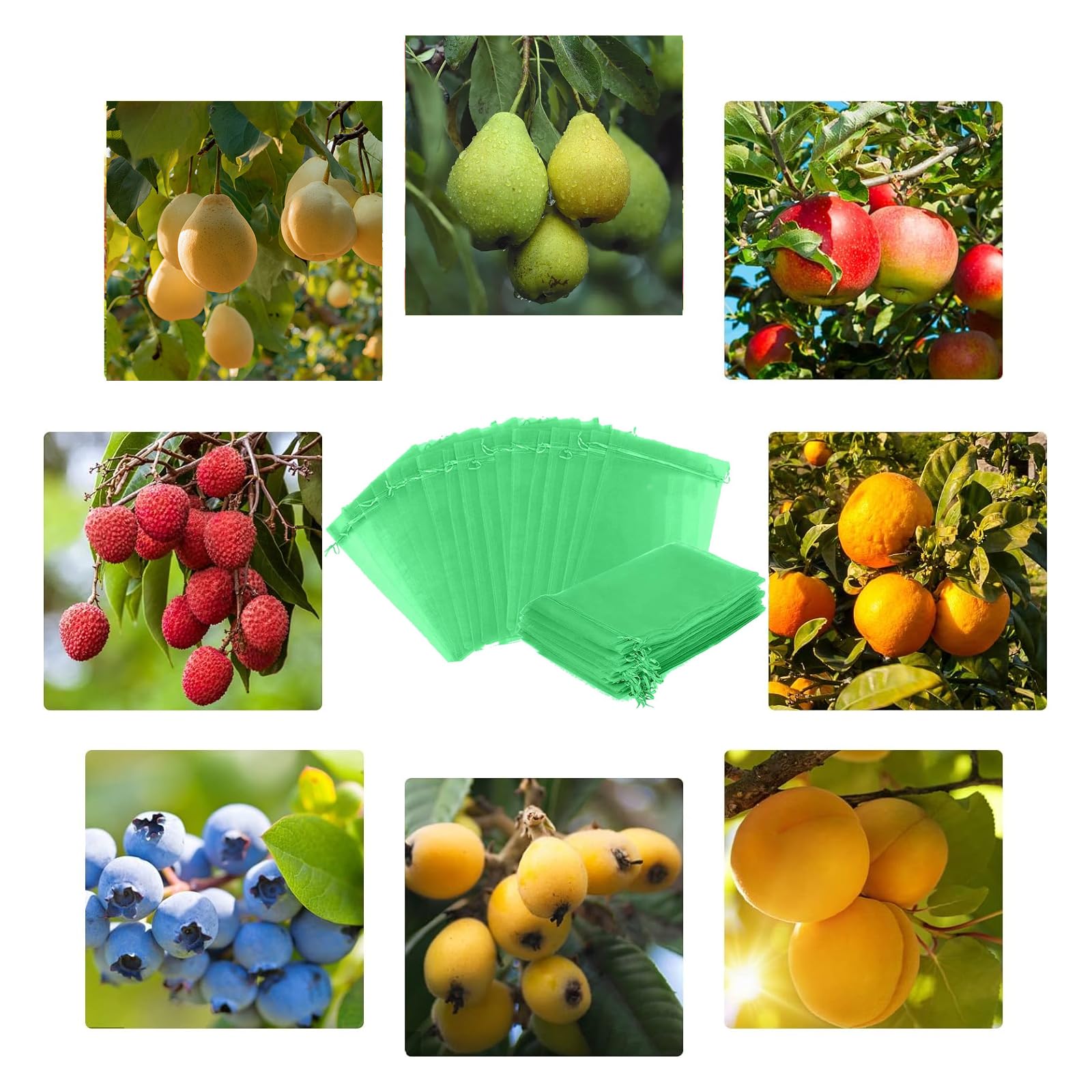 100 pièces sacs de protection des fruits, pochette en filet vert avec ...