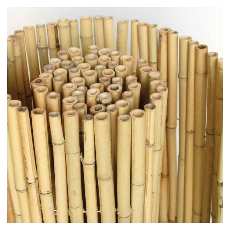 Rolki naturalnego ogrodzenia z trzciny bambusowej 2,5Ø x 200 szer. x 150 wys. cm