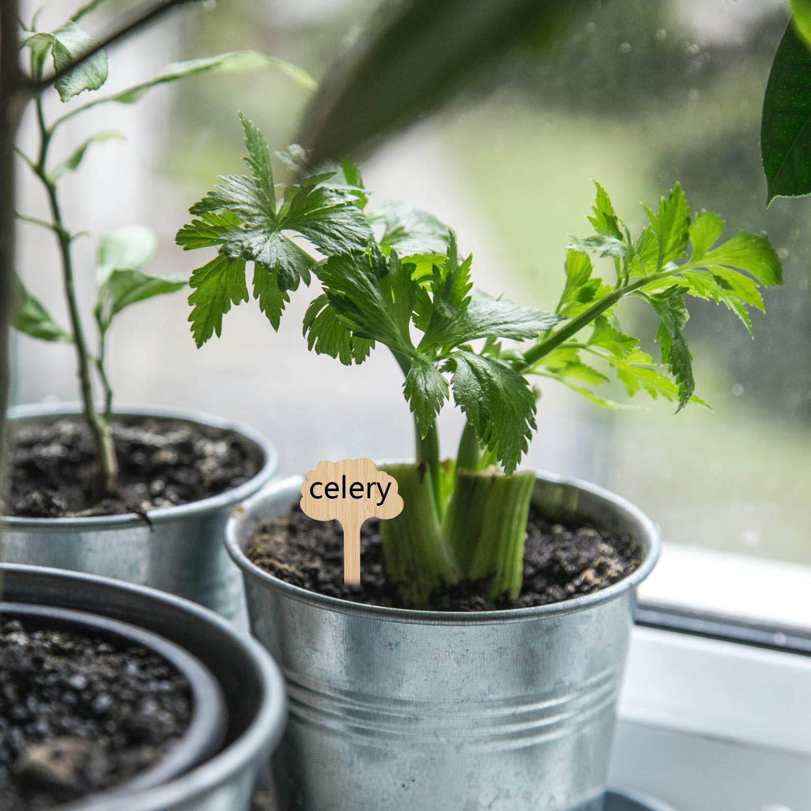 30 étiquettes végétales en bambou vert forme arbre. Marqueurs bois réutilisables pour pots, fleurs et légumes, taille 3,9 × 2,4 pouces. - 6