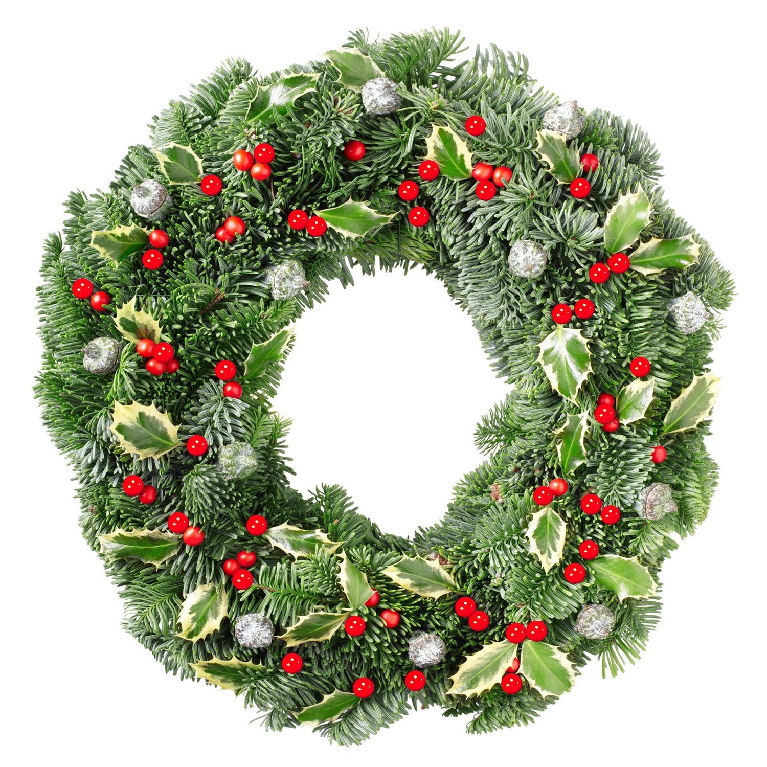 100 bayas de acebo de Navidad compactas de colores brillantes para decoración de jardín - 2