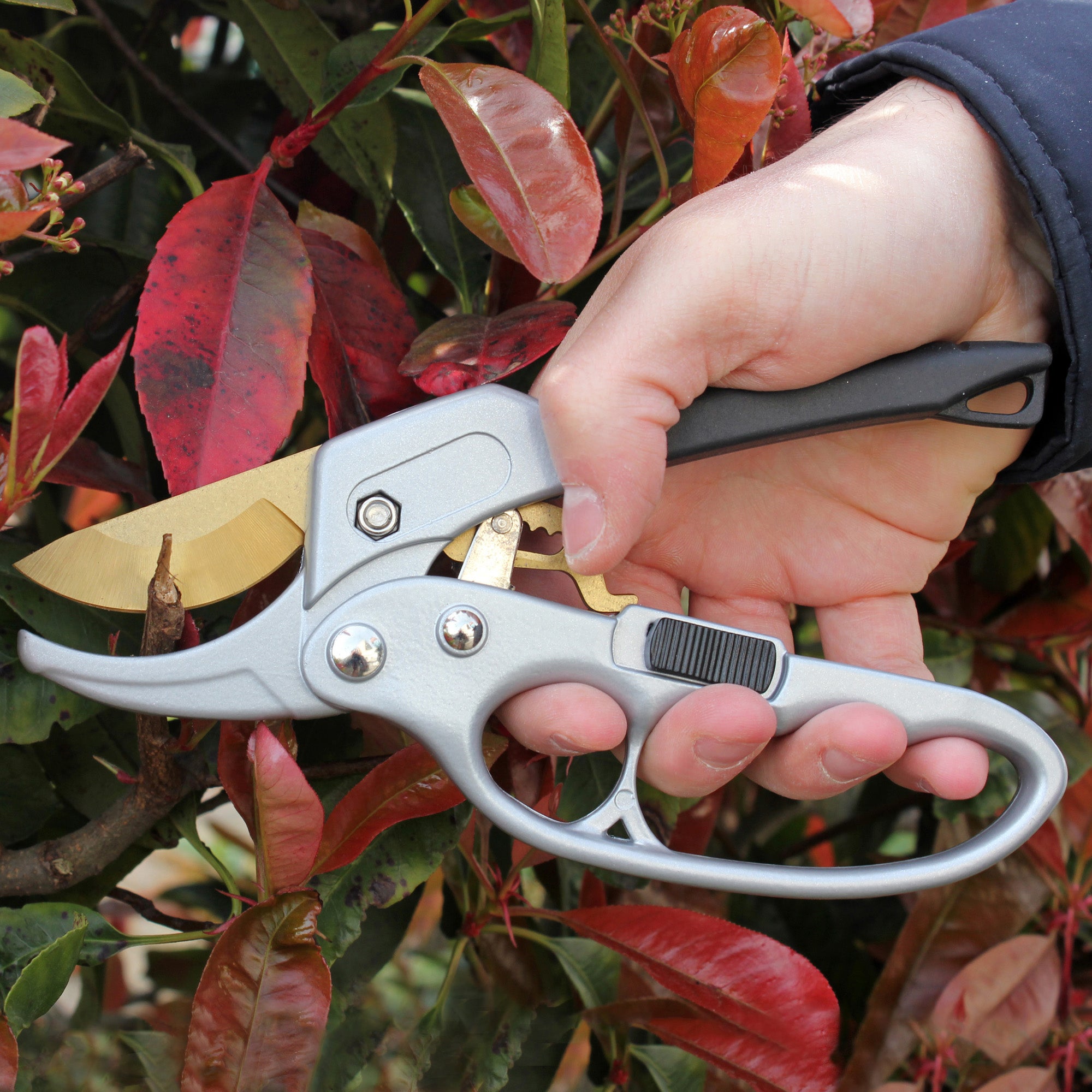 FISHTEC Secateur de Jardin Titanium a cremaillere - Poignee Ergonomique Antiderapant - Coupe Nette (Branches jusqu'a 20 mm) - 20 CM - Gris & Noir - 2