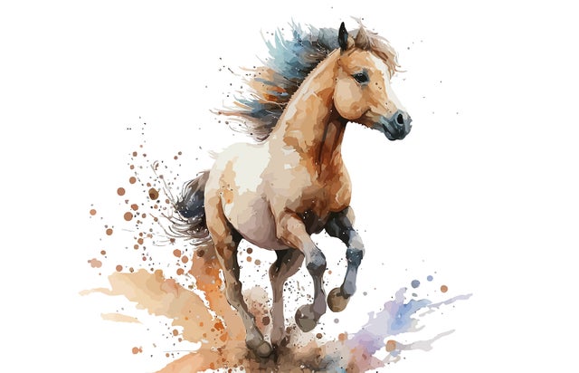 Papier peint panoramique Enfants - Poulain - Largeur 130 cm x Hauteur 84 cm