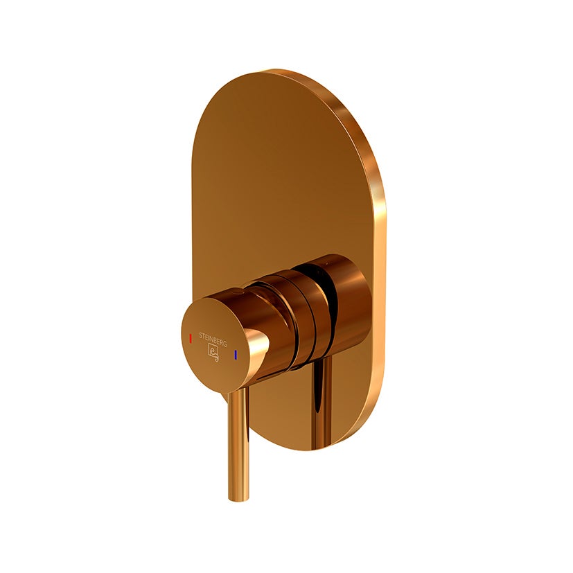 Kit Mitigeur Douche Encastré Deante Silia 250 bronze brossé