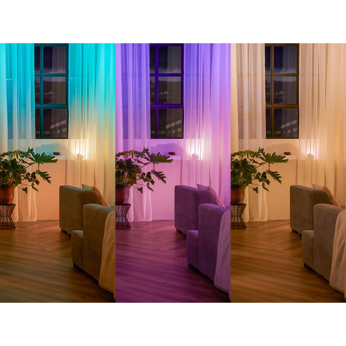 Interrupteur PHILIPS HUE Module wall switch - 5